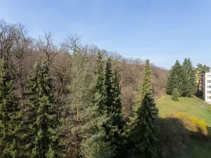 Prodej bytu 3+1, Praha - Kobylisy, Jelínkova, 63 m2