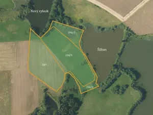 Prodej podílu pole, Borovná, 60983 m2