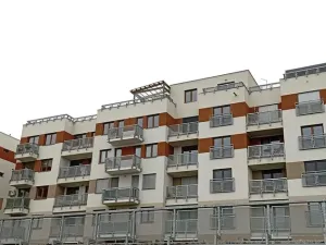 Pronájem bytu 1+kk, Plzeň - Jižní Předměstí, Rybářská, 49 m2