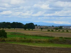 Prodej pozemku pro bydlení, Divec, 1680 m2