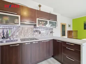 Prodej bytu 2+kk, Plzeň, Rubešova, 59 m2