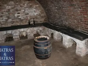 Prodej vinného sklepa, Pavlov, Rudolfa Gajdoše, 100 m2