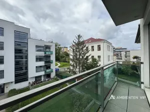 Pronájem bytu 1+kk, Brno, Božetěchova, 52 m2