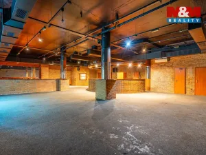 Prodej obchodního prostoru, Praha, Trnkovo náměstí, 324 m2