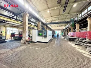 Prodej výrobních prostor, Cheb, Truhlářská, 2491 m2