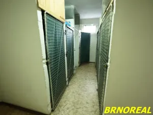 Pronájem bytu 2+1, Brno, Jílová, 55 m2