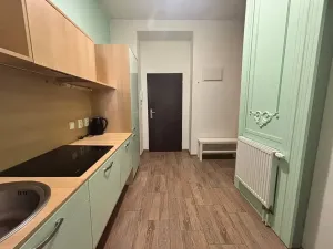 Pronájem bytu 1+1, Praha - Dejvice, Pod kaštany, 34 m2