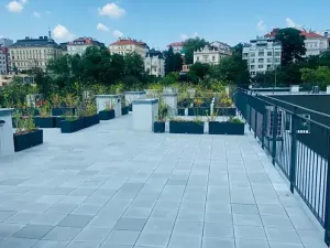 Pronájem bytu 1+kk, Praha - Vinohrady, Perucká, 25 m2