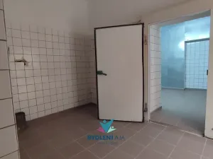 Pronájem obchodního prostoru, Teplice, Masarykova třída, 120 m2