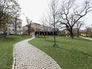 Pronájem bytu 3+kk, Praha - Vinohrady, Vinohradská, 94 m2