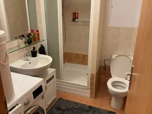 Pronájem bytu 1+kk, Brno, Kosmova, 40 m2