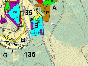 Dražba lesa, Vír, 2432 m2