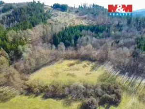 Prodej louky, Sušice - Sušice III, 8056 m2