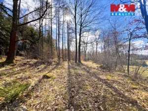 Prodej louky, Sušice - Sušice III, 8056 m2