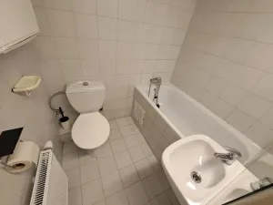 Pronájem bytu 1+kk, Hradec Králové, Buzulucká, 30 m2