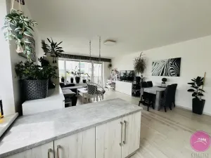 Pronájem bytu 2+kk, Olomouc, Loudova, 76 m2