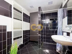 Prodej rodinného domu, Černá v Pošumaví, 330 m2