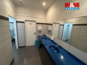 Pronájem kanceláře, Ostrava - Moravská Ostrava, Kounicova, 224 m2