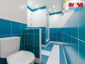 Pronájem bytu 2+1, Sokolov, Alšova, 62 m2