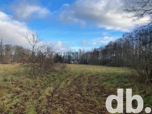 Prodej pole, Ostrov, 22490 m2