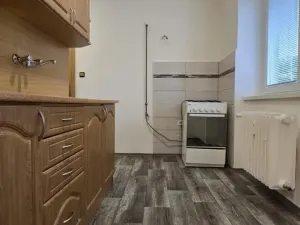 Pronájem bytu 1+1, U Zámeckého parku 840, 43601 Litvínov, 30 m2