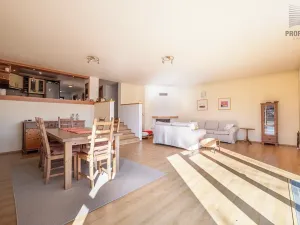 Prodej rodinného domu, Šebrov-Kateřina, 285 m2