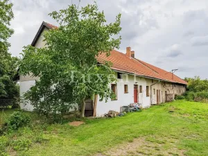 Prodej zemědělské usedlosti, Běrunice, 600 m2