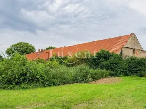 Prodej zemědělské usedlosti, Běrunice, 600 m2