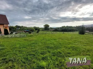 Prodej pozemku pro bydlení, Mnichovo Hradiště, 1004 m2