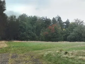 Prodej pozemku, Sychrov - Radostín, 2316 m2