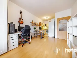 Prodej bytu 2+kk, Olomouc, Peškova, 48 m2