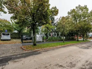 Prodej komerční nemovitosti, Praha - Strašnice, Olešská, 310 m2