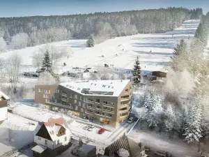 Prodej bytu 2+kk, Železná Ruda, 65 m2