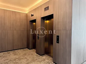 Pronájem kanceláře, Brno, Nové sady, 150 m2