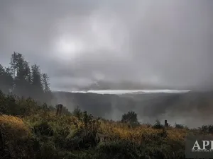 Prodej pozemku pro bydlení, Žítková, 6433 m2