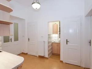 Pronájem bytu 2+kk, Praha - Vinohrady, Mánesova, 59 m2