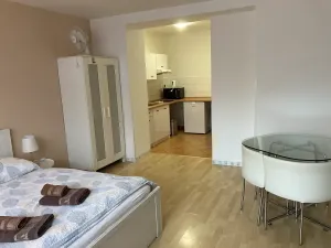 Prodej ubytování, Olomouc, Rejskova, 154 m2