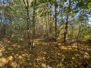 Dražba pozemku pro bydlení, Zdislava, 1043 m2