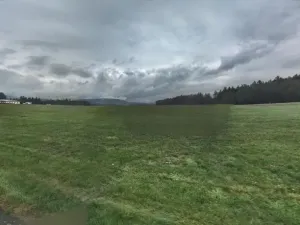 Dražba pole, Sychrov, 2316 m2