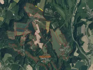 Dražba pole, Sychrov, 2316 m2