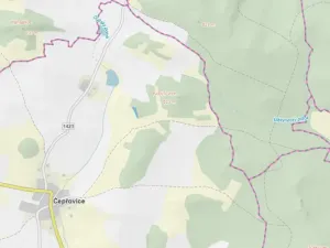 Prodej lesa, Čepřovice, 1644 m2