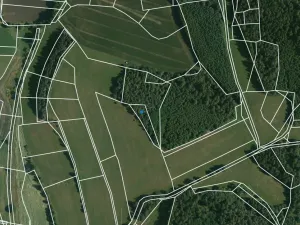 Prodej lesa, Čepřovice, 1644 m2