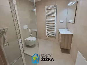 Pronájem bytu 2+kk, Brno, Burianovo náměstí, 43 m2