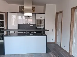 Pronájem bytu 3+kk, Praha - Nové Město, Opletalova, 70 m2