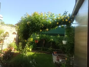 Prodej vícegeneračního domu, Mikulov, Na Jámě, 220 m2