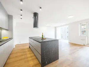 Prodej bytu 4+kk, Praha - Troja, Velká skála, 111 m2