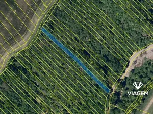 Prodej lesa, Březolupy, 1255 m2