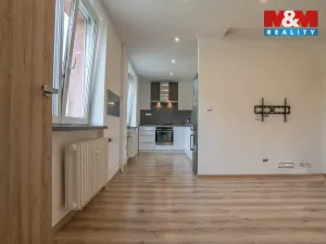 Prodej bytu 3+kk, Havířov - Podlesí, Družstevnická, 63 m2