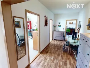 Prodej bytu 3+1, Tábor, Hanojská, 78 m2