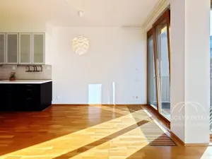 Pronájem bytu 3+kk, Praha - Žižkov, Olgy Havlové, 76 m2